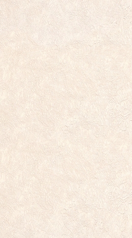 9009-23