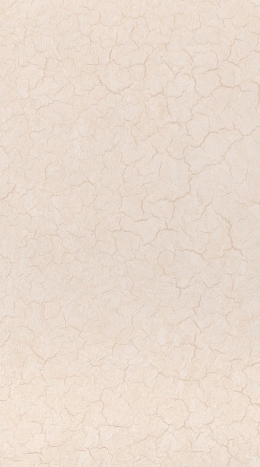 9051-13